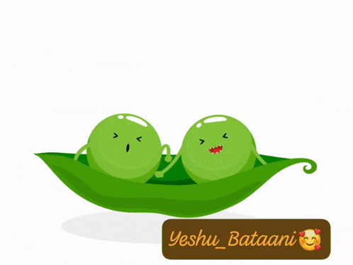 a cartoon illustration of two peas in a pod with the name yeshu bataani below them