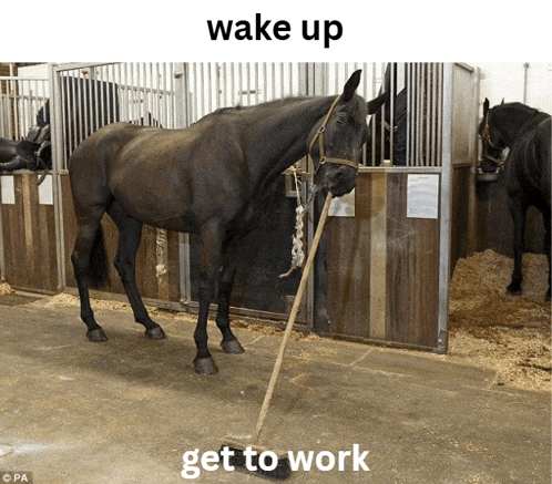 a horse standing in a stable with the words wake up get to work