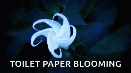 Flower Toilet Paper GIF - Flower Toilet Paper Blooming GIFs