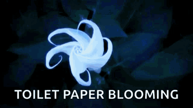 a blue and white flower with the words toilet paper blooming above it