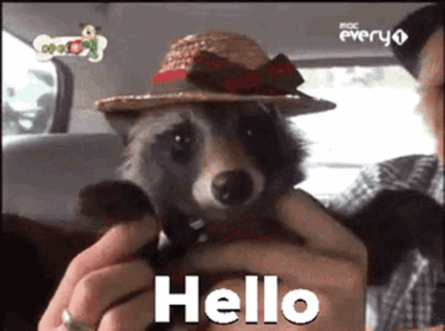 a raccoon wearing a straw hat is being held by a person and says hello .