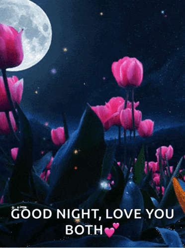 a picture of flowers with the words good night love you both on it