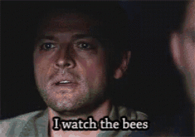 a man says i watch the bees while looking at another man