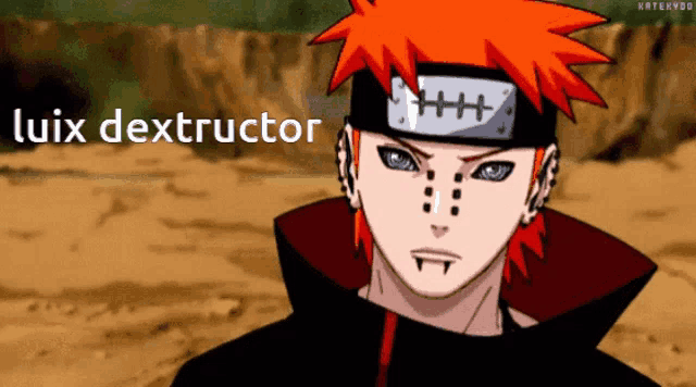 a cartoon character with the name luix destructor written on the bottom