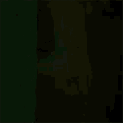a person is peeking out from behind a green wall .