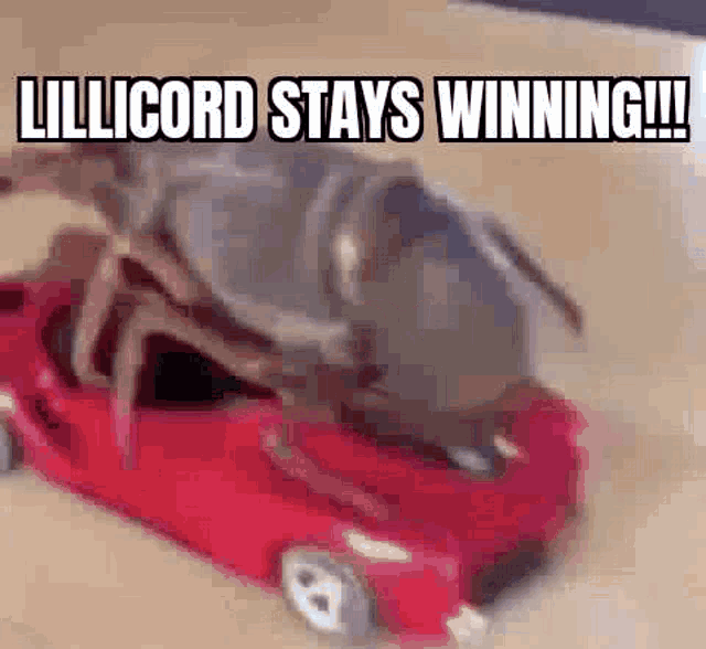 a toy car with a bug on top of it and the words lillicord stays winning .