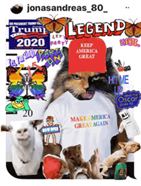 a cat wearing a make america great again shirt is surrounded by other animals