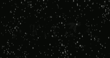 the word lights is written in white on a black background