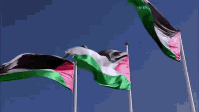 two flags are waving in the wind with a blue sky in the background