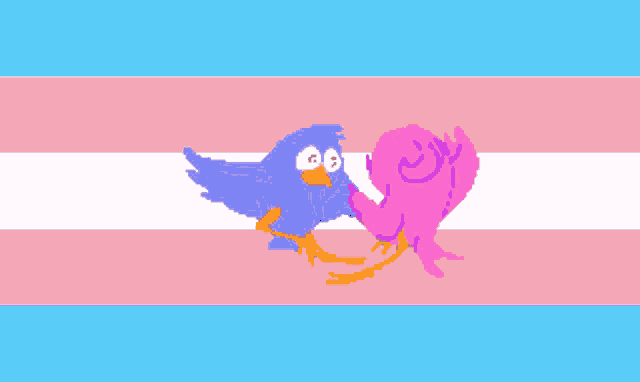 a cartoon of two birds hugging each other on a pink and blue background