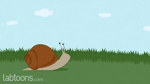 Snail Hiding GIF