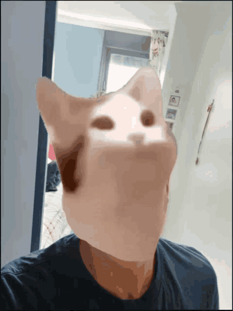 a person with a cat 's face on their face