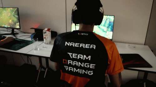Team Orange Gaming E Sport GIF - Team Orange Gaming Team Orange GIFs