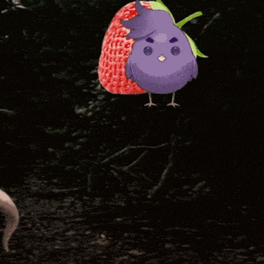 a purple bird is standing next to a strawberry in a dark forest