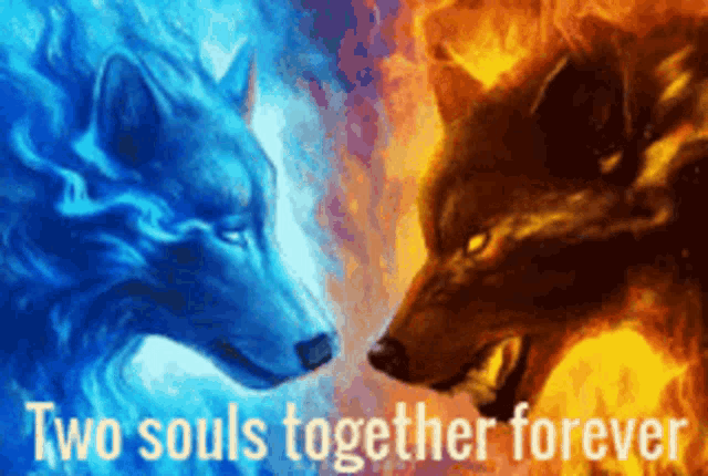 Fire Wolf And Ice Wolf GIF