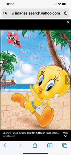 Beachy Sister Tweety Bird Birthday Meme - Beachy sister tweety bird ...