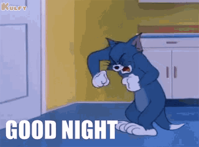 Good Night Tom And Jerry GIF - Good Night Tom And Jerry Gif GIFs
