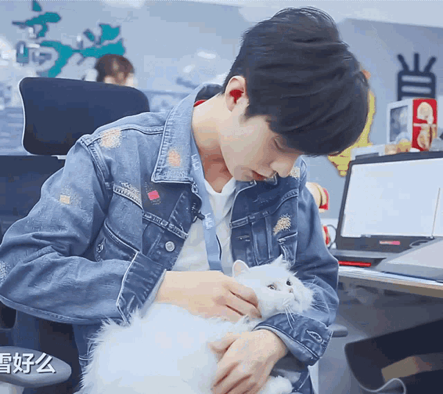 Xiao Zhan Cat GIF - Xiao Zhan Cat Cute GIFs