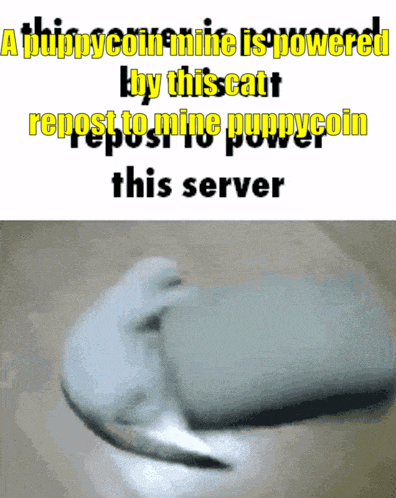 a puppy coin mine is powered by this cat 's repost to mine puppycoin this server