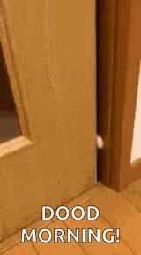 a cat is peeking out from behind a door and saying `` good morning '' .
