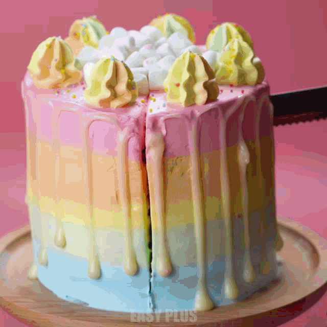 a cake with a slice taken out of it and the words easy plus on the bottom