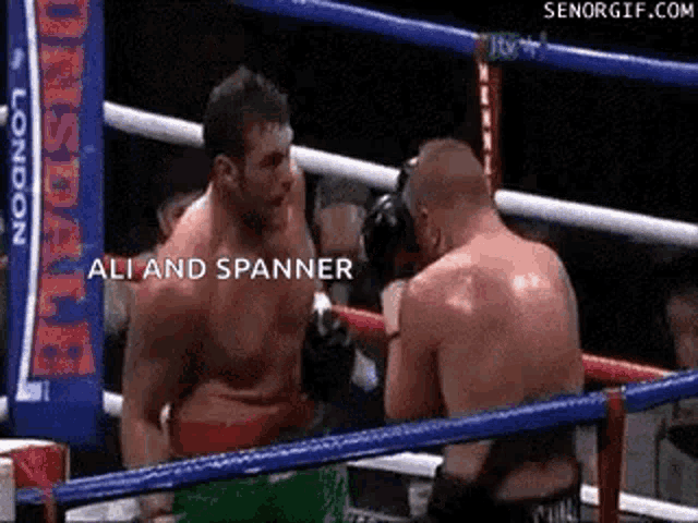 two men are fighting in a boxing ring with the words `` ali and spanner '' written in the corner .