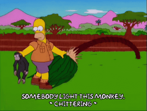 The Simpsons Homer GIF - The Simpsons Homer Light This Monkey GIFs
