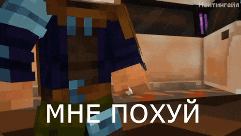 a minecraft character is standing in a room with the words " mne poxyui " on the bottom