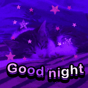 a purple background with a cat and stars and the words " good night "