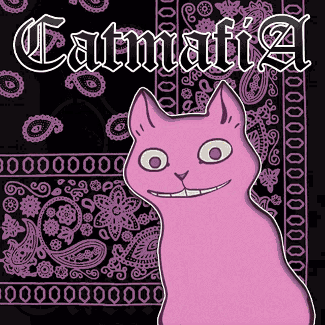 a pink cat is sitting in front of a black bandana with the word catmafia on it