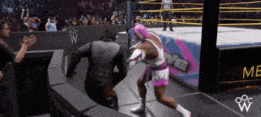 a woman in a pink mask is wrestling another woman in a ring .