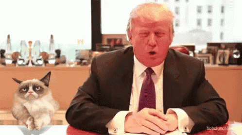 donald trump sitting at a table with a grumpy cat on his lap
