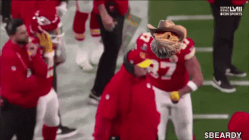 a football player wearing a cowboy hat and a scarecrow mask on his face .