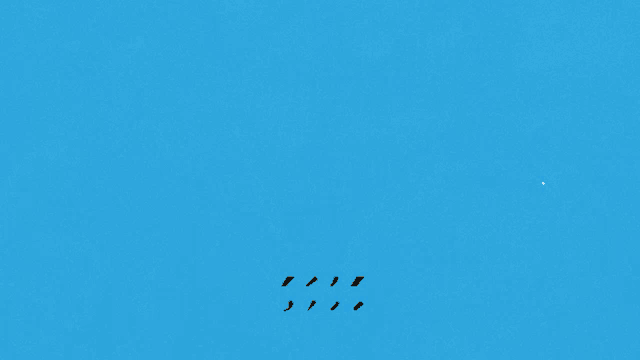 a blue and gold background with the word pejiguero