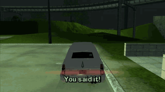 a screenshot of a video game with the words you said it
