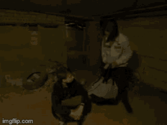 a person holding a bag in a dark room with imgflip.com on the bottom right