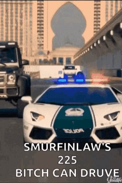 a picture of a police car that says ' smurfinlaw 's 225 bitch can druve '