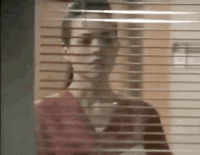 a blurry picture of a woman behind a window with blinds .
