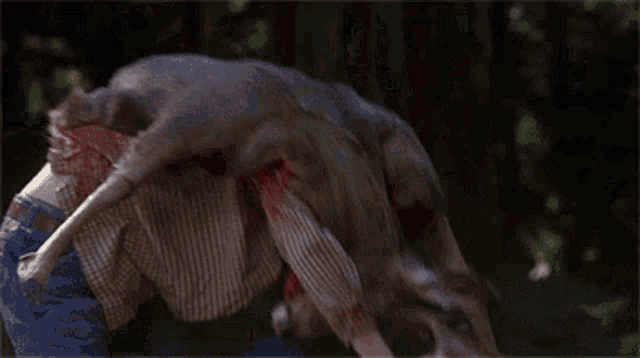 a man in a plaid shirt is holding a dead deer on his shoulders .