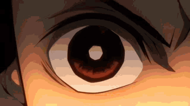 a close up of a person 's eye with a circle in the middle .