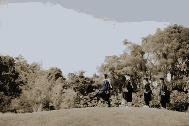 a group of graduates walk across a grassy hill