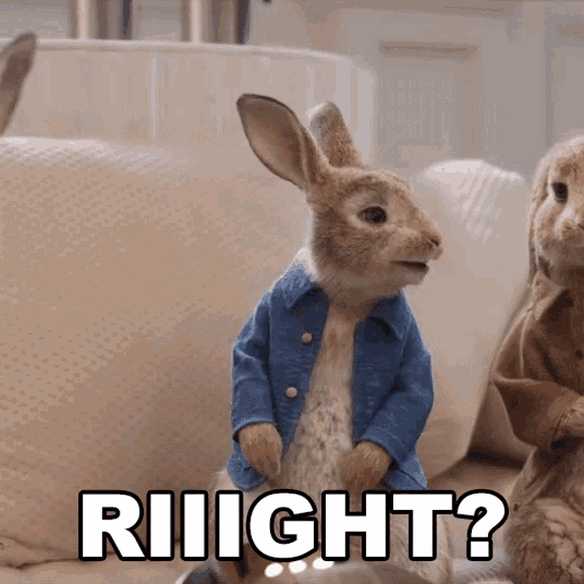 Riiight Peter Rabbit GIF - Riiight Peter Rabbit Peter Rabbit2the Runaway GIFs