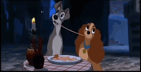Bella Notte Vagabundo GIF - Bella Notte Vagabundo Lady And The Tramp GIFs
