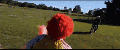 a clown in a red wig stands in a grassy field
