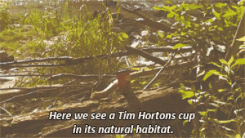 Tim Hortons Cup GIF - Tim Hortons Cup Here We See A Tim Hortons Up GIFs