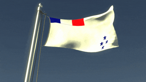 a white flag with blue stars on it