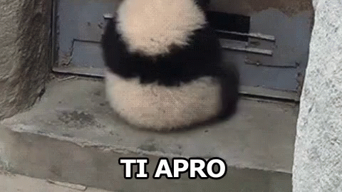 Panda Ti Apro Aprire Porta GIF - Panta I Oper To Open GIFs