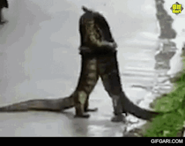 a crocodile is walking down a sidewalk next to a person in a black jacket .