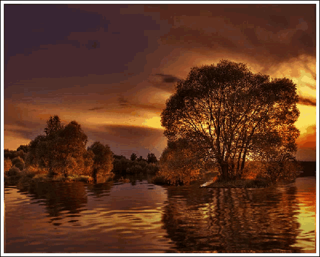 a sunset over a lake with a tree in the middle