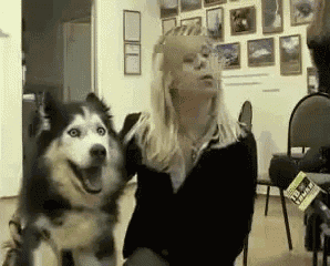 a woman is holding a husky dog in her lap and the dog is smiling and looking at the camera
